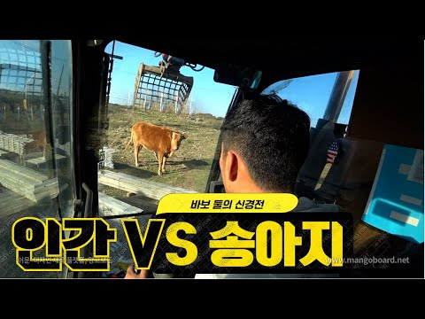소曰: 뭐지 이 ㅂㅅ은?