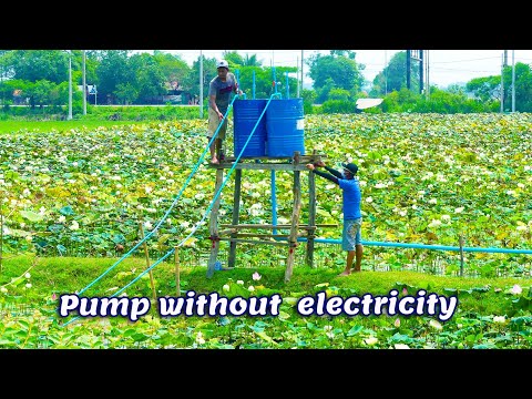 Free Energy Water Pump for lotus farm – Pump Water Without Electricity Big project