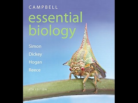Campbell Essential Biology With Physiology 5th Edition Pdf