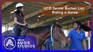 Riding a Horse: UCD Senior Bucket List