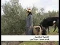 شامة الزاز أيقونة الفن الجبلي مريضة هذه الأيام الله يشافيها مسكينة 