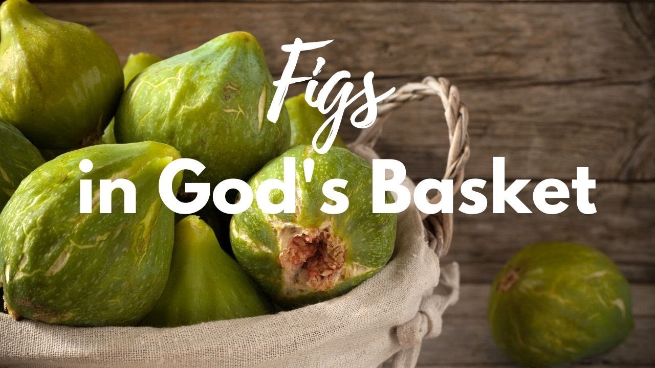 Figs in God's Basket YouTube