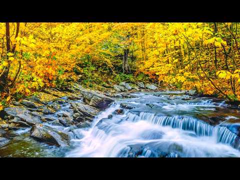 "September Autumn Morning" Beautiful Relaxing Music, Peaceful Soothing Music by Tim Janis