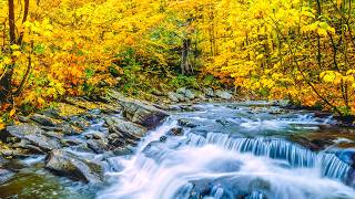 "September Autumn Morning" Beautiful Relaxing Music, Peaceful Soothing Music by Tim Janis screenshot 2