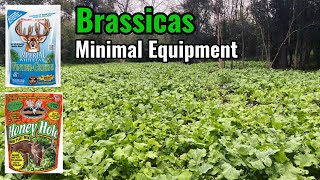 Brassica Food Plot - Tilling with ATV Tires - Honey Hole and Wintergreens