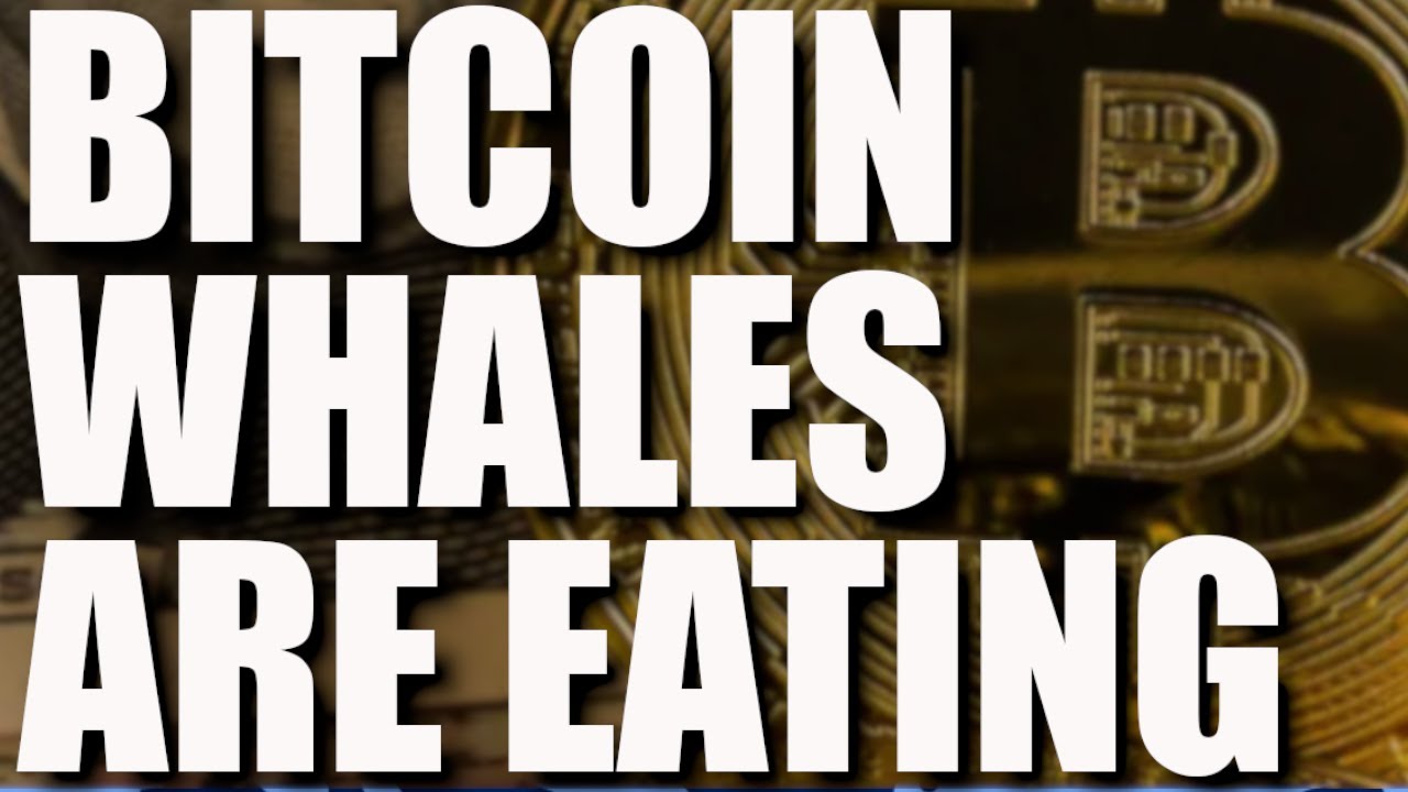 Bitcoin Resilience, Ethereum Deflation, NFT Funds, Apes + Pancakes & New Ethereum Bulls