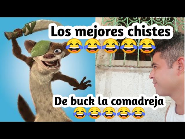 Buck la comadreja chistes || los mejores chistes de buck la comadreja