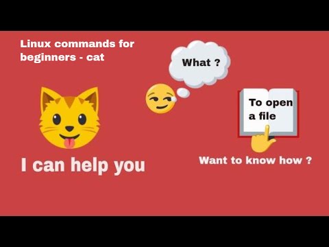 Linux command for beginners | Linux cat command example | Hands on experience in Linux command