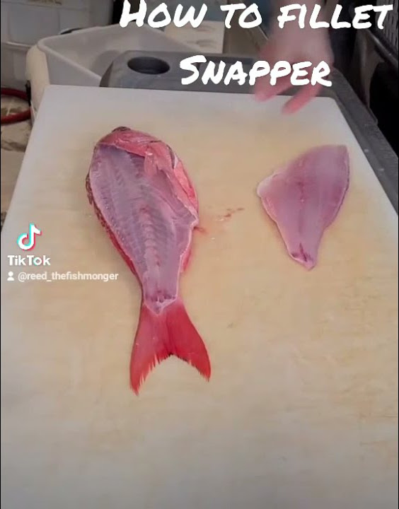 Filleting Snapper is easy with the right steps. 🤙