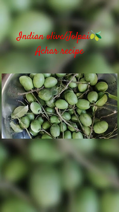 #jolpaiachar #shortsfeed #trendingsong