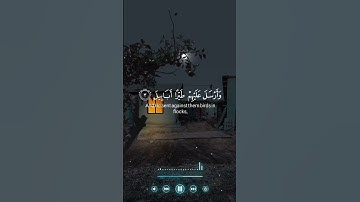 محمد صديق المنشاوي سورة الفيل