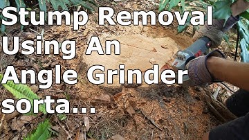 Tree Stump Removal With Angle Grinder