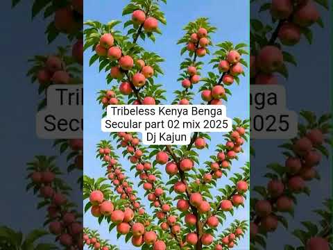 Tribless Kenya Benga Secular Mix 2025 DJ Kajun