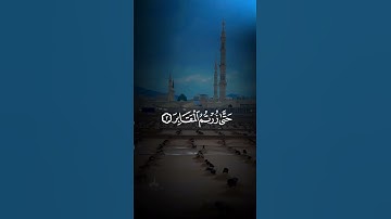 سعد الغامدي سوره التكاثر