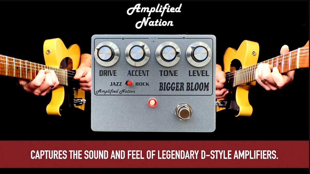 Amplified Nation Bigger Bloom - YouTube