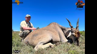 Big Eland Bull Hunted With Danish Client