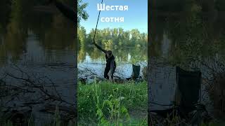 Клюнул карась на Шестой сотне в Карнауховке #рыбалка #verguntv #fishing #6_сотня #карась #поплавок