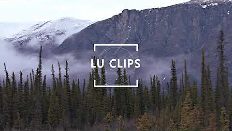 LU Clips - Connie Johnson Disappearance timeline