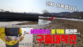 구출작전)참혹하게 죽어가는 "수천마리 물고기" 구했습니다.... [정브르]