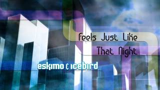 Eskimo & Icebird - Feels Just Like That Night (2006)