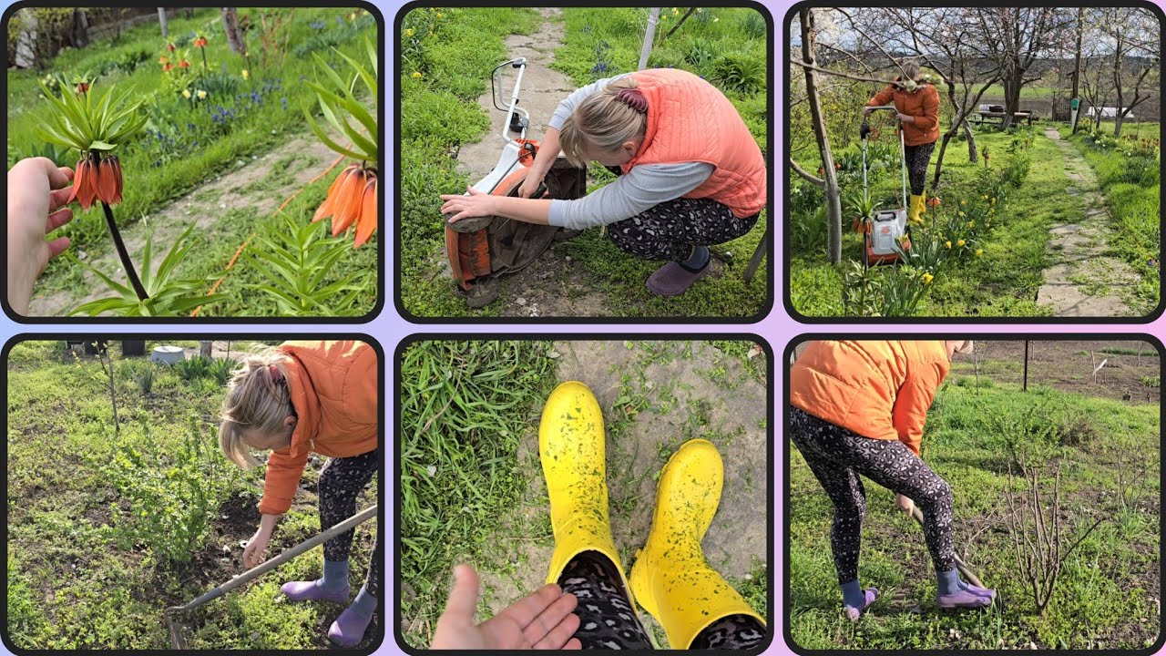 Весенний дачный участок