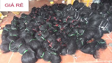 Các Mẫu Lưới Bẫy Chim Đêm GIÁ RẺ?