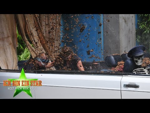 Dschungelcamp 2019 | Felix und Sandra: Mit dem Cabrio durch die "Wasch-Strafe" - Dschungelcamp 2019 | Felix und Sandra: Mit dem Cabrio durch die "Wasch-Strafe"