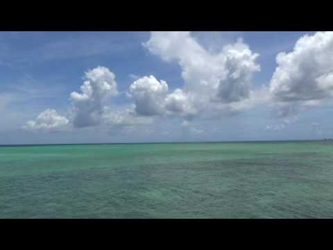 VOCALOIDで歌うｰ17　負けないで　～ZARD～