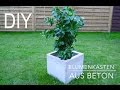 DIY Blumenkasten aus Beton Anleitung