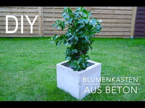 Video: DIY Beton + Holz Pflanzer Stand