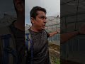 জাপানে জিনিসপত্রের দাম এত বেশি কেন?