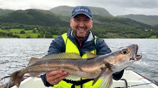 видео: ТАКОЕ ЛОВИМ ВПЕРВЫЕ… ХЕК! Ставим снасть на Палтуса! Рыбалка с лодки в Норвегии. Часть 1 картинка: ТАКОЕ ЛОВИМ ВПЕРВЫЕ… ХЕК! Ставим снасть на Палтуса! Рыбалка с лодки в Норвегии. Часть 1
