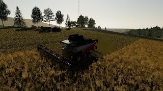 żniwa rzepaku w farming simulator 19  #105