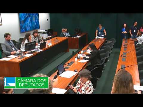 COMISSÃO DE DIREITOS HUMANOS, MINORIAS E IGUALDADE RACIAL