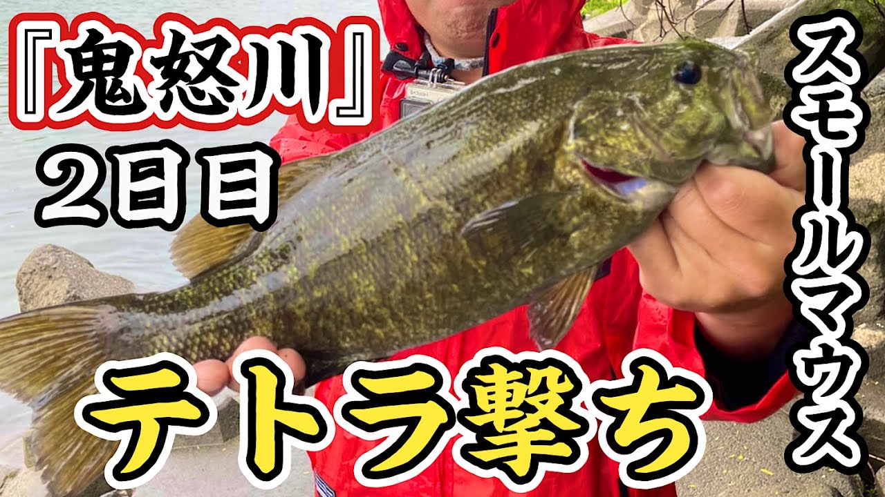 バス釣り 鬼怒川 バス釣り人気釣り場 雨が降った増水後はテトラを狙う スモールマウスバス Youtube バス釣り 鬼怒川 バス釣り人気釣り場 雨が降った増水後はテトラを狙う スモールマウスバス Youtube