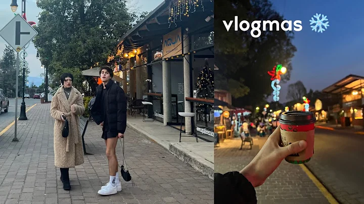 Vlogmas | Vamos a una cabaa Navidea
