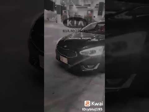 كابرس  ماشاء الله