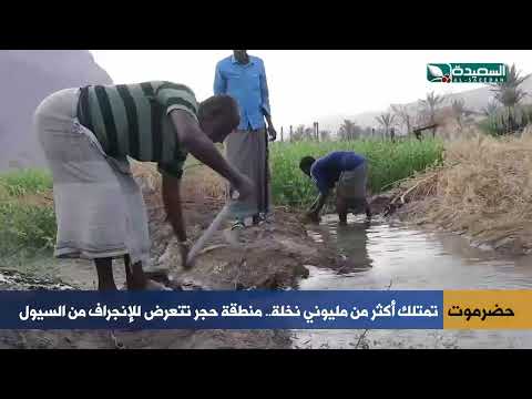 تمتلك أكثر من مليوني نخلة... منطقة حجر تتعرض للإنجراف من السيول واعصار شابالا
