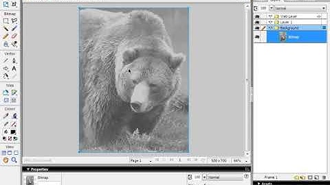 Fireworks Tutorial 6 - Brightness and Contrast