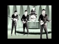 Beatles  twist n shout fan made