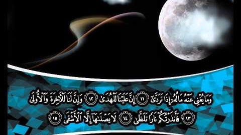 سورة الليل / هاني الشمري