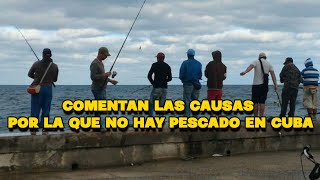 La dictadura afirma que en Cuba no hay pescado