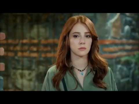 حبة ظروف عمر و دفنة حب للايجار