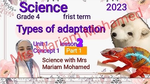 Grade 4 |  Science unit 1 concept 1 lesson 2 Types of adaptation part (1) frist term