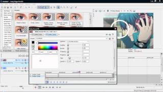 Sony Vegas // Effect 11