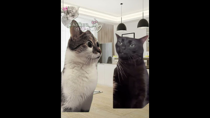 Twoj kolega nie ma zębów 🤣 #cats #śmieszne#greenscreen #cat #trend#memes#funny#memy #catmeme