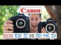 Which one is better for you? Canon EOS 1Dx MK II vs Canon EOS 5D MK IV (english)