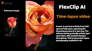 How to Create Stunning Time-Lapse Videos with FlexClip AI 🌸 | Easy Tutorial #AITimeLapse
