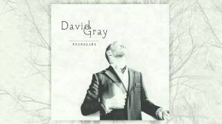 Watch David Gray Only The Wine video