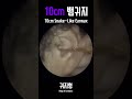 11cm 뱀귀지(10cm Snake-Like Earwax)